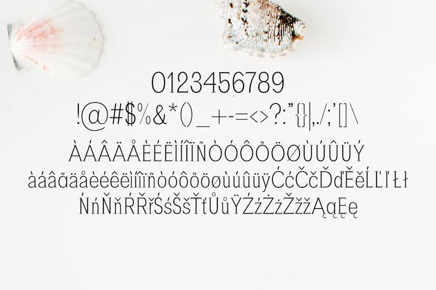 现代独特设计风格英文标语衬线字体 Zayley Serif Regular Font插图(3)
