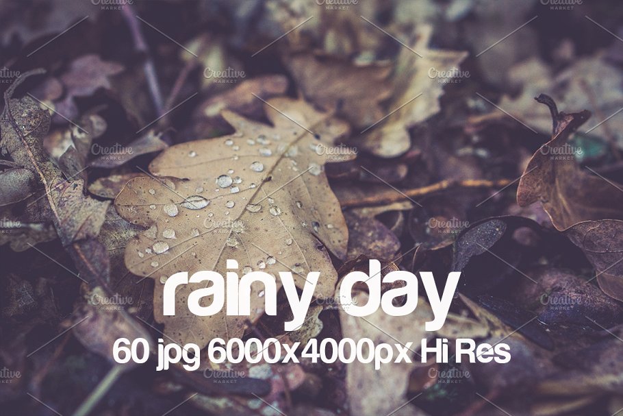 高清下雨天景色照片 Rainy day photo pack插图