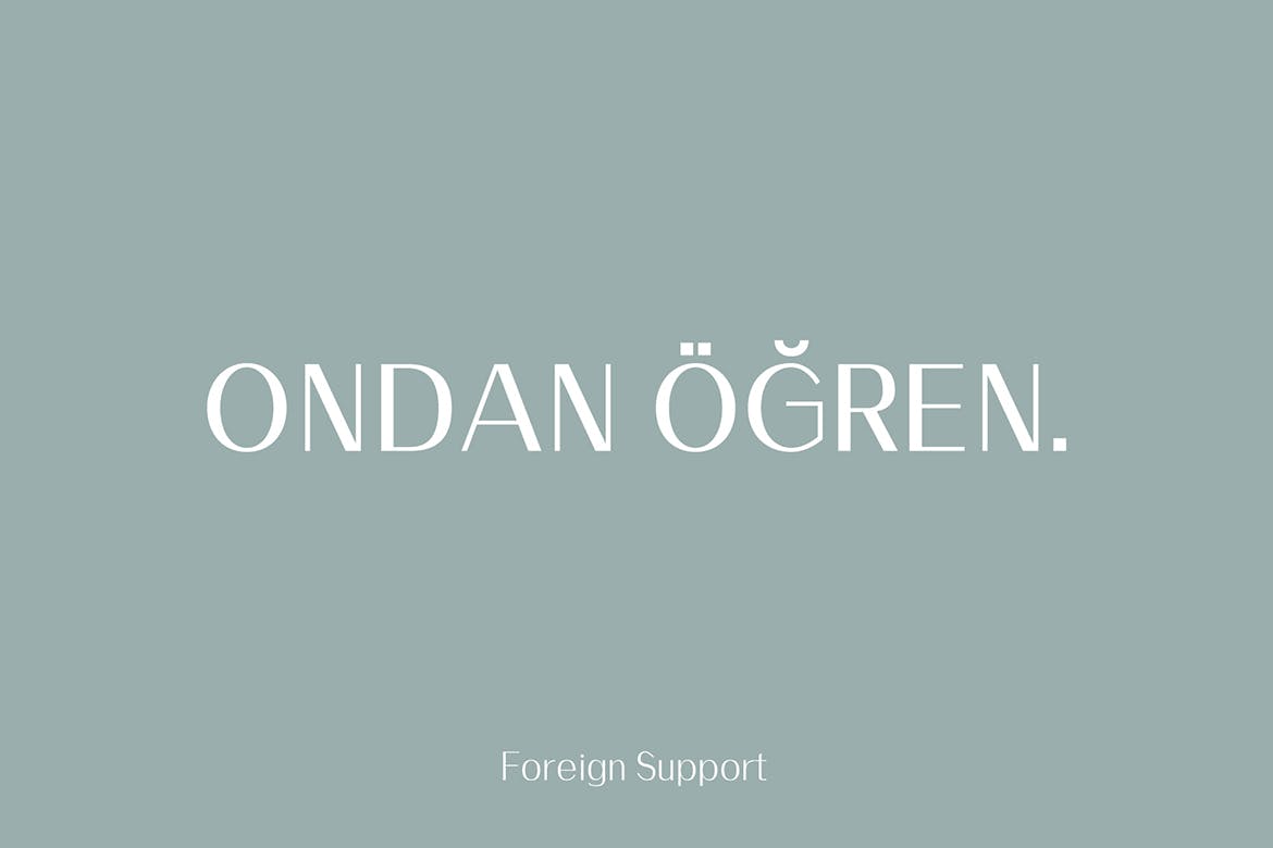 现代设计风格排版设计英文无衬线字体家族 Malak Sans Serif Font Family插图(4)