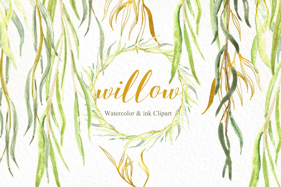 柳枝水彩剪贴画 Willow branches watercolor clipart插图(3)