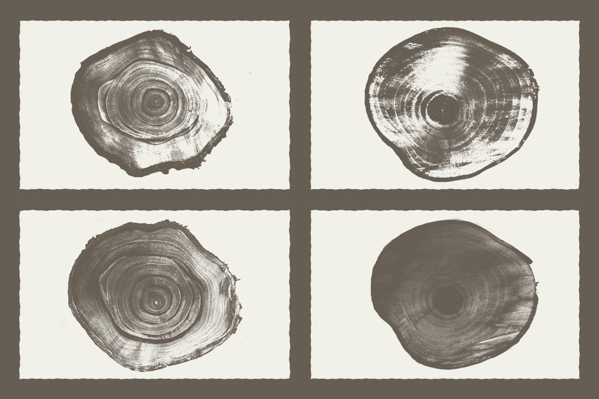 木质年轮纹理背景素材 Wood Texture Pack Background插图(1)