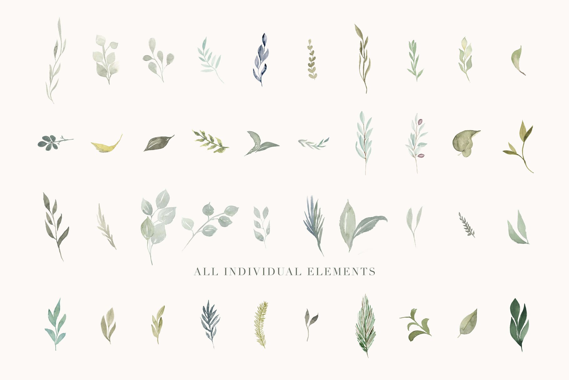 水彩植物叶子树叶插画 Foliage – Watercolor Leaves插图(1)