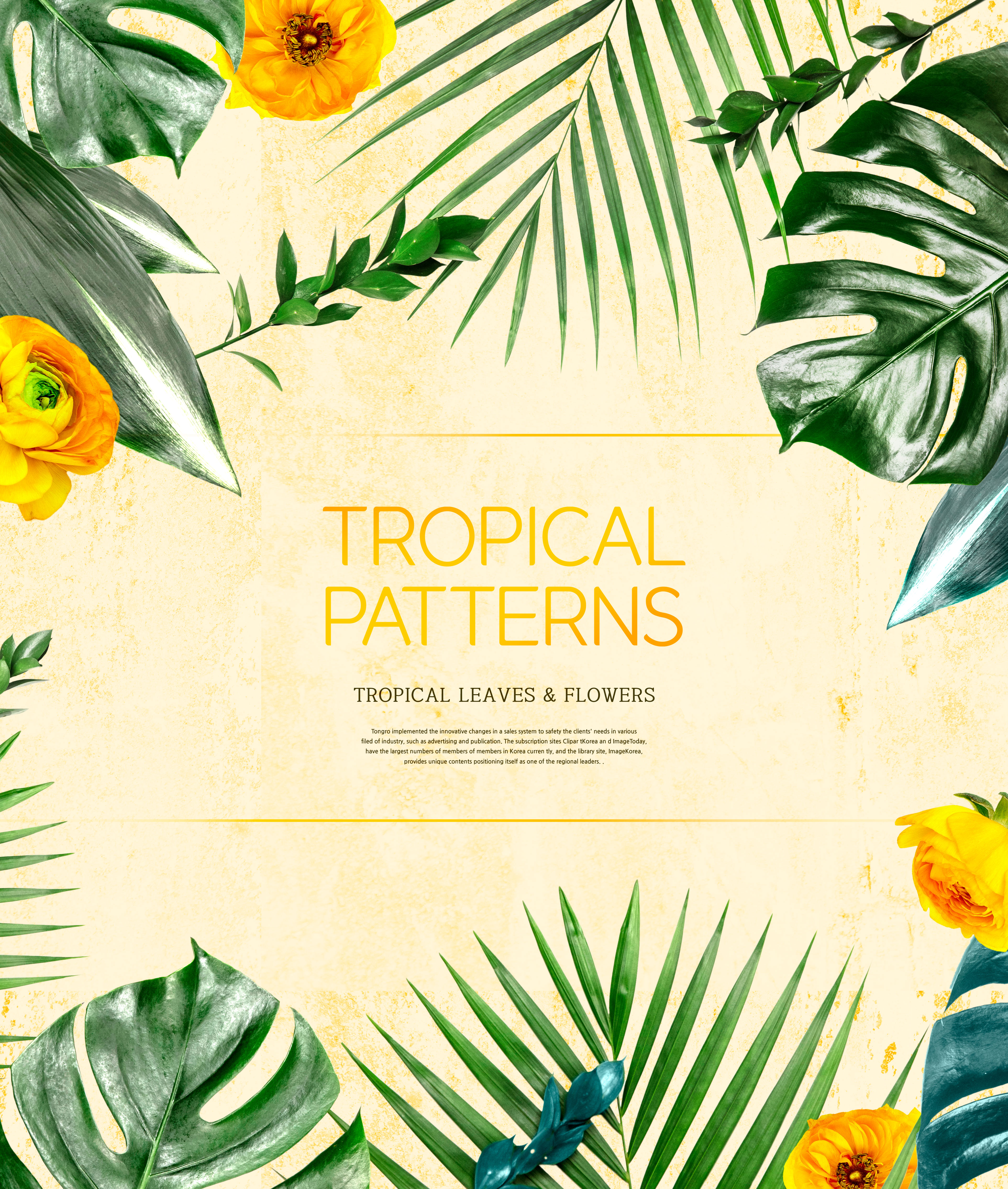 热带主题叶子&花卉图案海报设计素材插图(3)