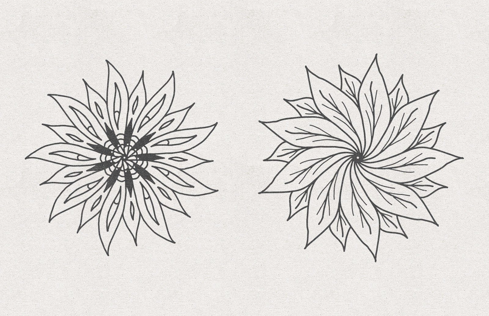 矢量花卉素材 Vector Floral Radial Illustrations [AI, SVG]插图(3)