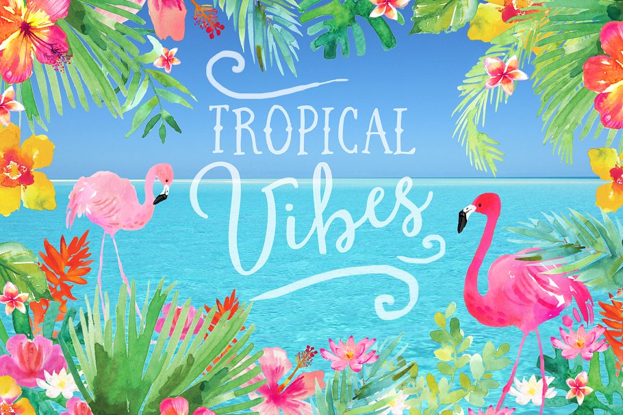 火烈鸟/热带植物水彩素材 Watercolour Clipart Set – Tropics插图(10)