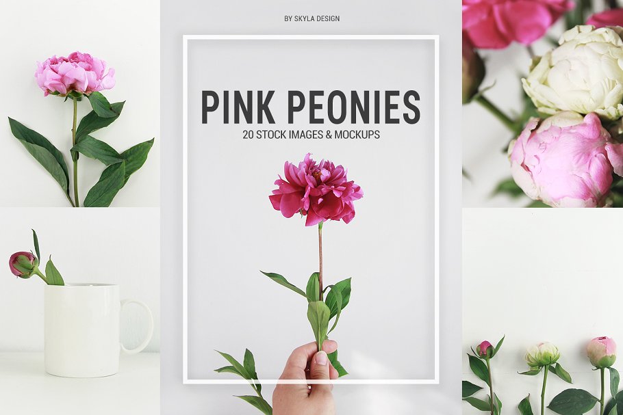 粉红牡丹场景装饰样机模板 Pink peonies stock & mockups插图
