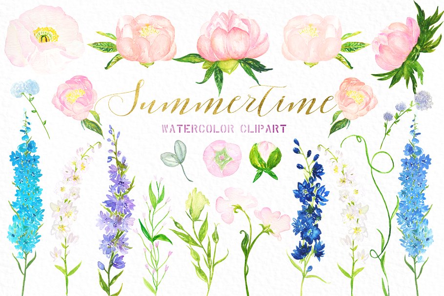 夏季嫩粉色水彩画插画 Summertime soft pink watercolor插图(6)