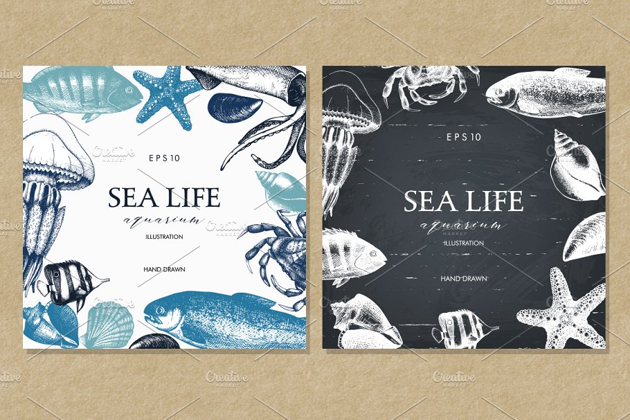 海洋生活矢量图形素材 Vector Sea Life Illustrations Set插图(1)