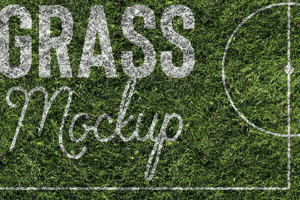 草坪草地质感纸张样机模板 Grass Mockup插图(1)