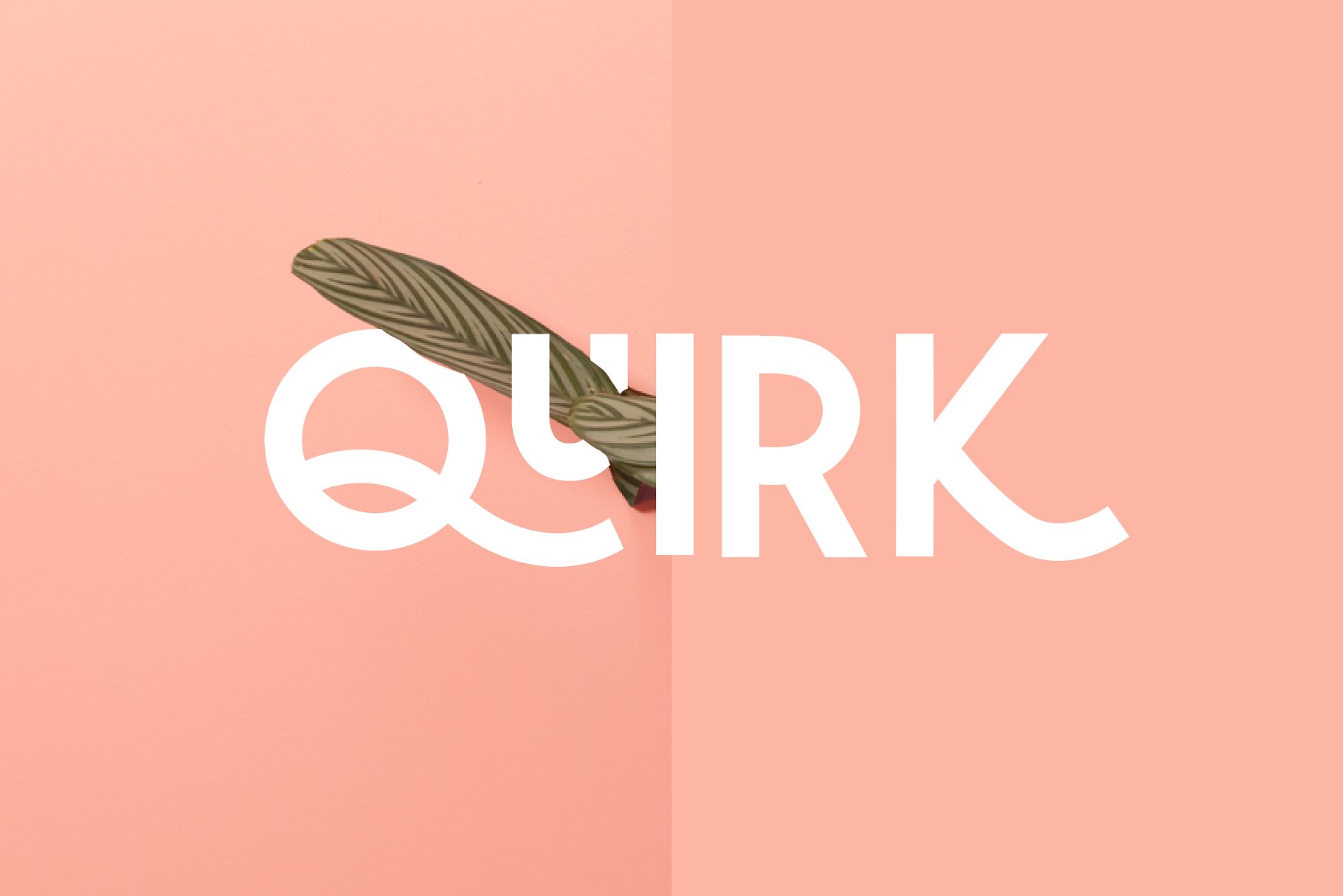 大胆堆叠无衬线英文字体 Quirk – Fun Display Font插图
