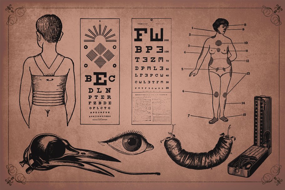 旧时代解剖医学插图素材 Medical Art | 110 EPS, PNG and JPG’s插图(5)