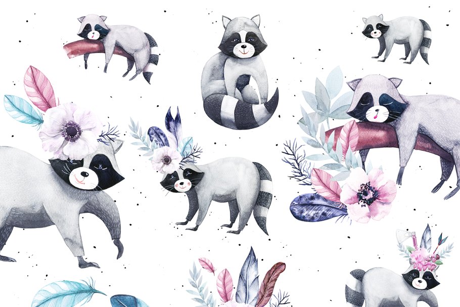 羽毛和浣熊水彩剪贴画 Watercolor Feathers & Raccoons插图(3)