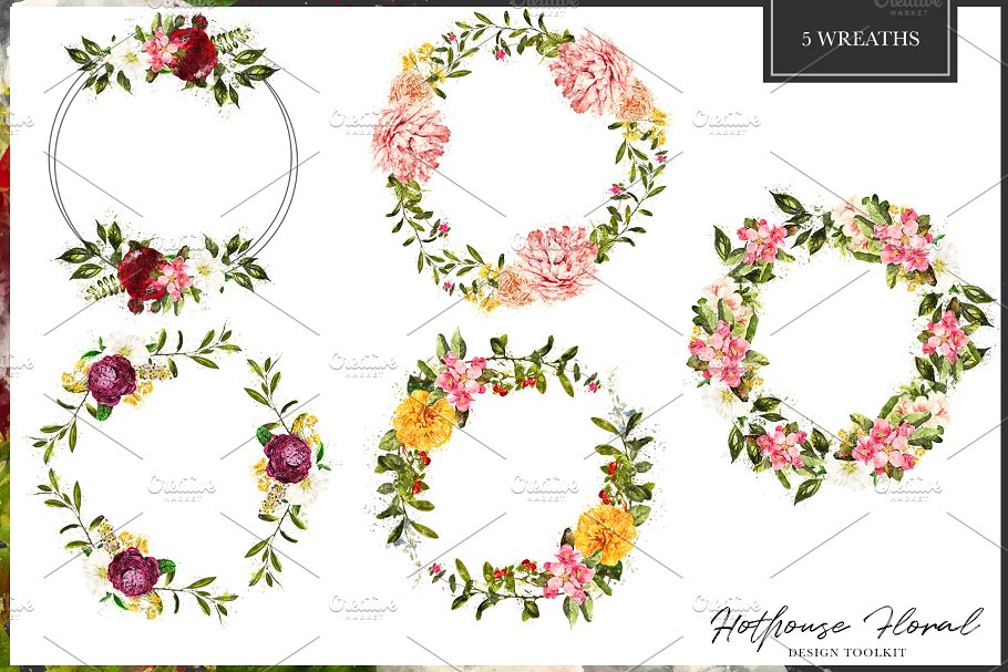 数码绘制温室花卉设计素材包（独立花卉元素&花式字母数字） Hothouse Floral Design ToolKit插图(2)