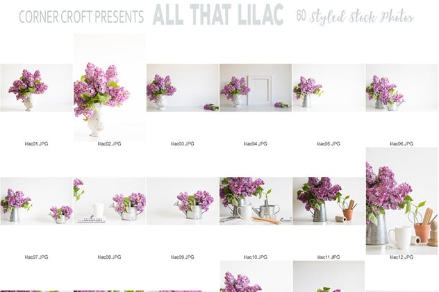 紫丁香花装饰场景背景照片 Lilac Styled Stock Photo Bundle插图(3)