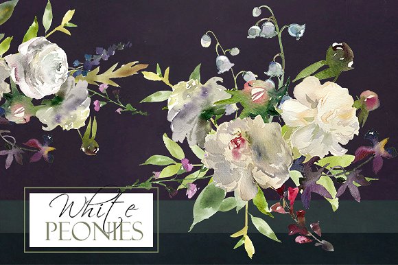白色水彩花卉剪贴画 Watercolor White Flowers Clipart插图(13)