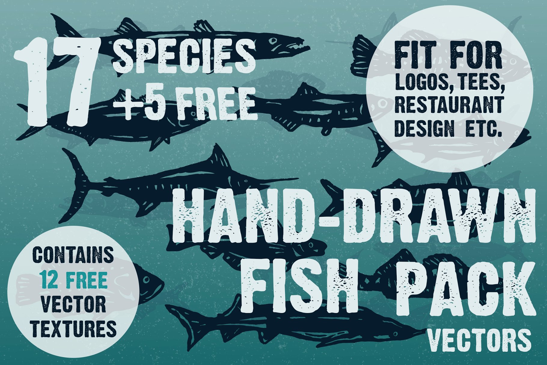 复古单色海洋&河流鱼类印刷插图 Hand-drawn fish vectors插图