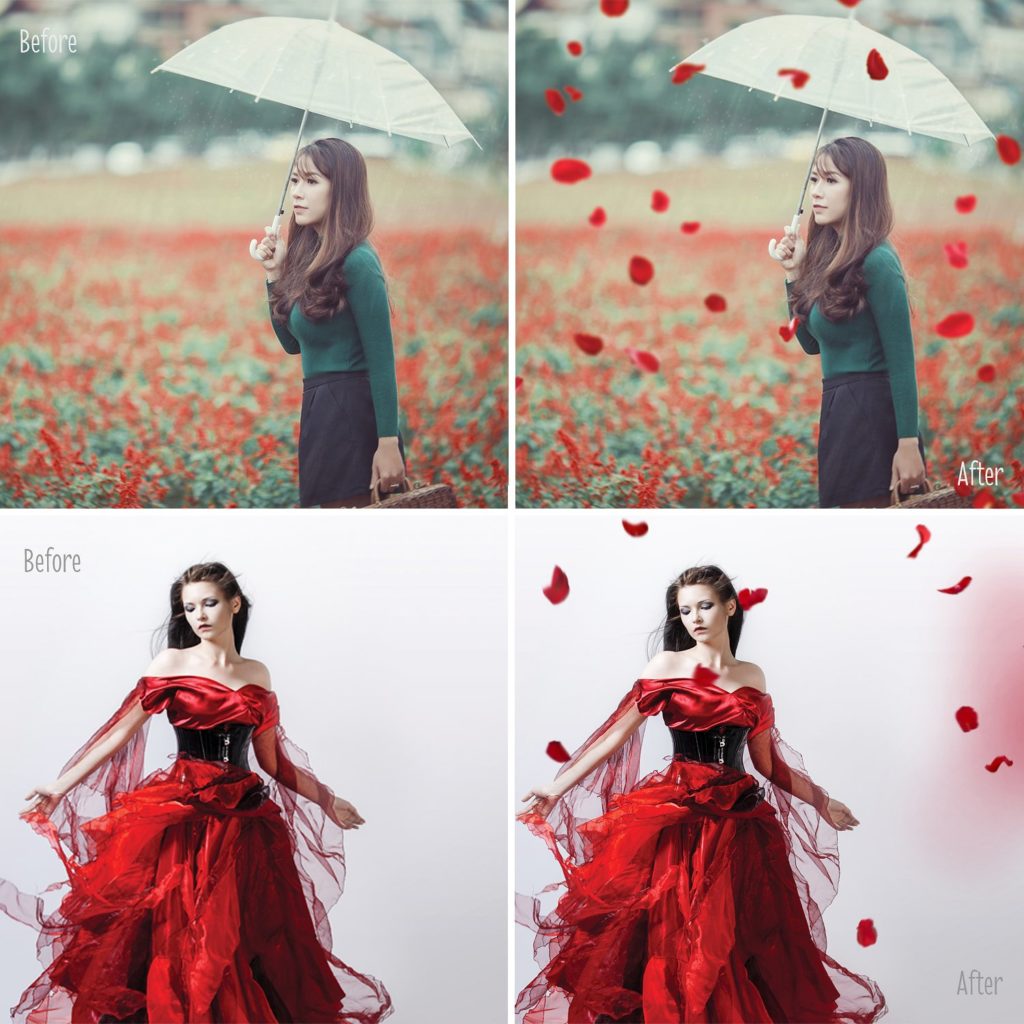 30个创意照片玫瑰花瓣叠加层素材下载[png]插图(1)