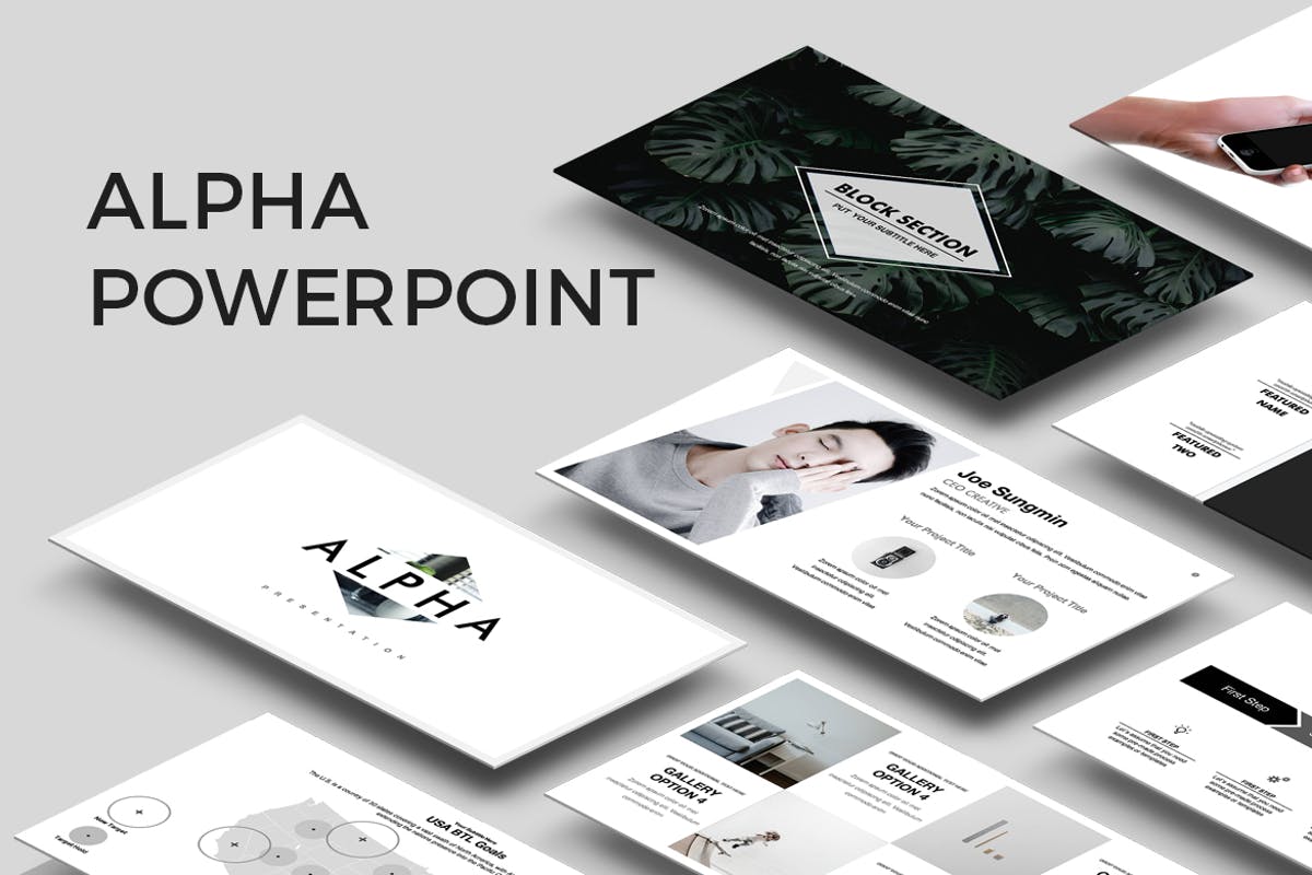 企业投标应标方案设计PPT模板素材 Alpha Powerpoint Presentation插图
