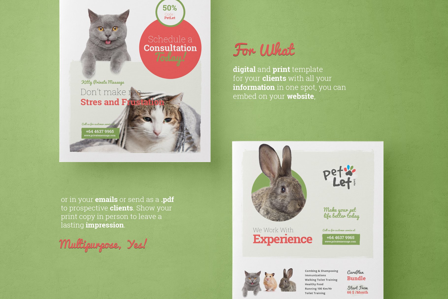宠物医院海报宣传传单模板 Pet Flyer插图(1)