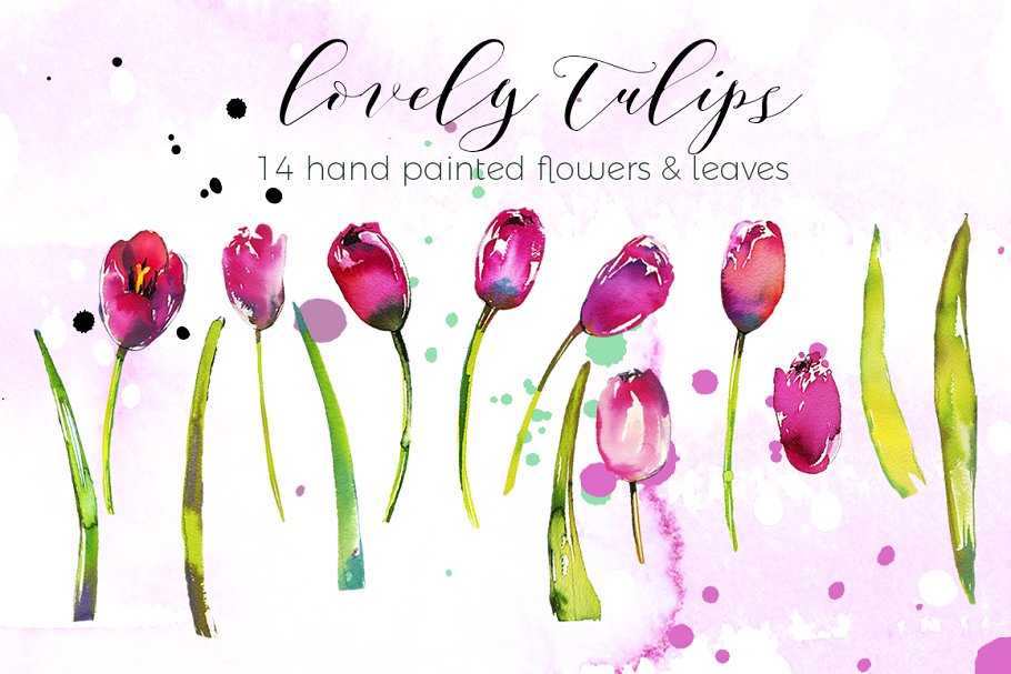 粉红郁金香水彩花卉套装 Pink Tulips Watercolor Floral Set插图(2)