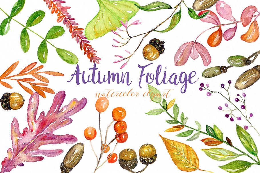 秋天树叶水彩插画 Autumn foliage. Watercolor images.插图(1)