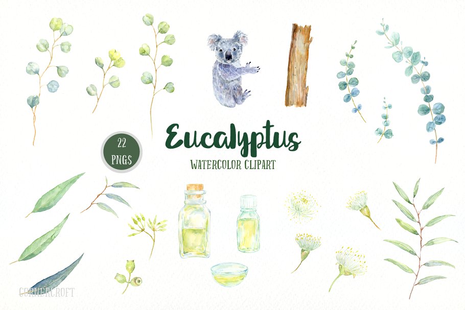 桉树与考拉水彩剪贴画 Watercolor Eucalyptus Koala Clip Art插图(2)