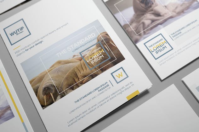 双折页A4规格企业品牌宣传册样机 Bi-Fold A4 Brochure Mockups插图(11)
