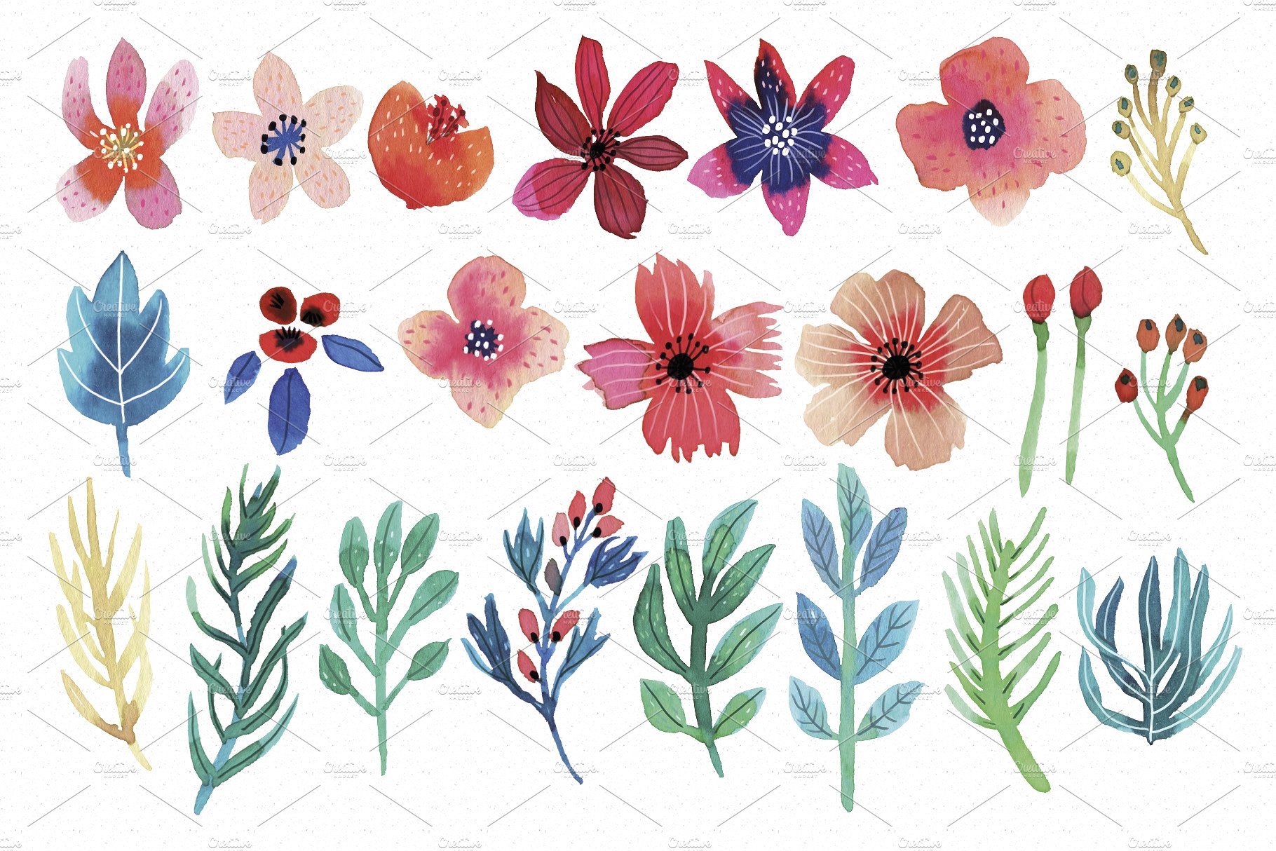 娇艳花卉水彩插画合集 Petite Flowers Watercolor Collection插图(2)