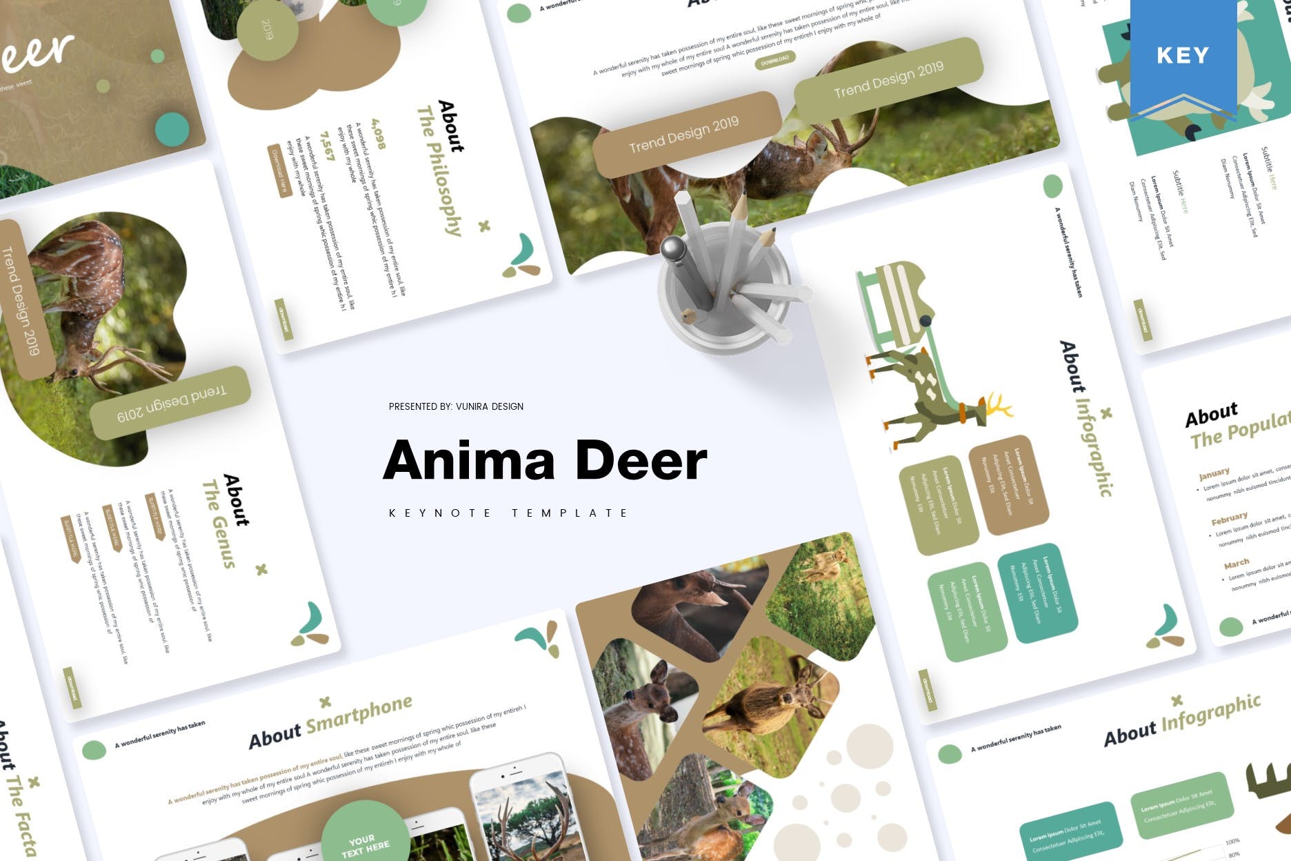 动物研究可爱风格儿童主题Keynote幻灯片模板 Anima Deer | Keynote Template插图