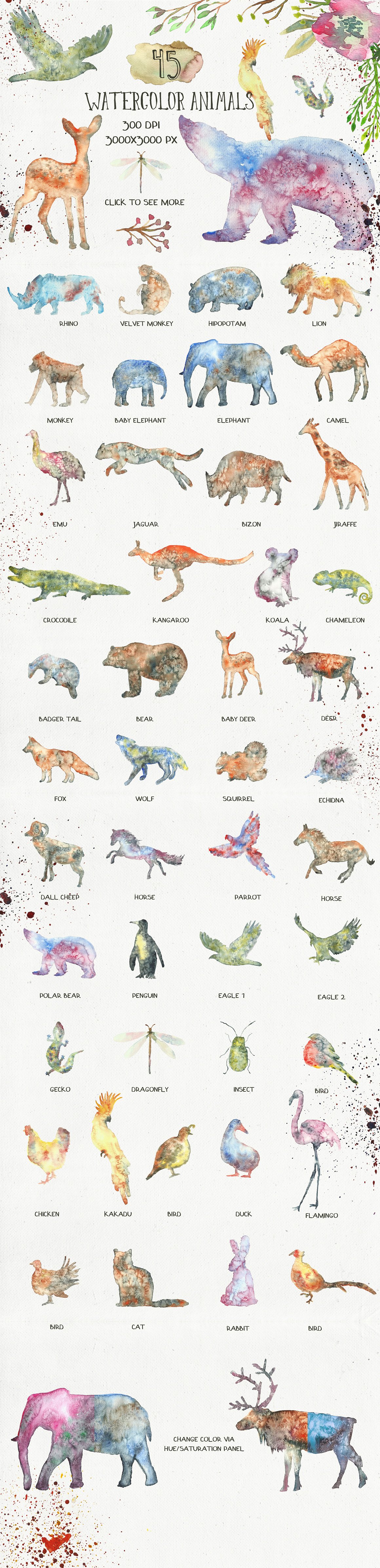极力推荐：动物水彩剪贴画、纹理、Logo模板等合集 Animal Zone Watercolor collection[1.48GB]插图(1)