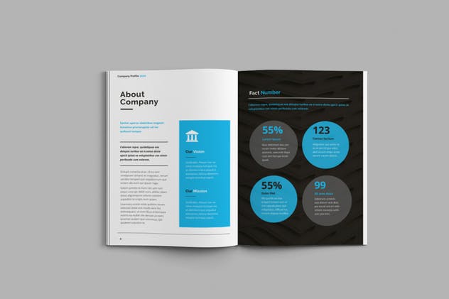 企业宣传册/画册/商业提案手册INDD设计模板 Company Profile 2020插图(4)