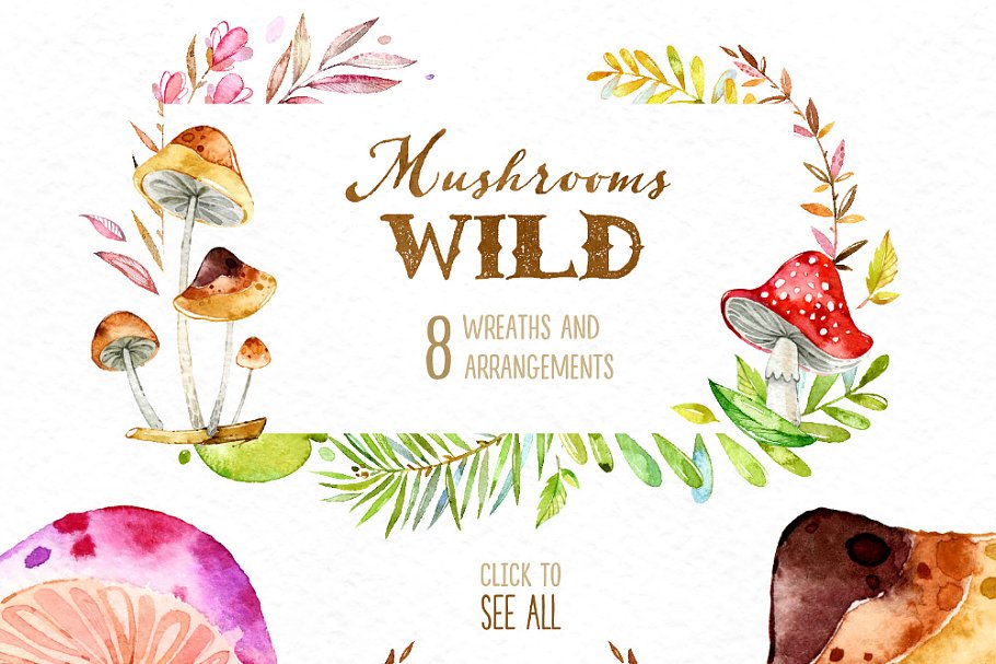 野生蘑菇森林元素素材集 Wild Mushrooms. Forest Collection插图(2)