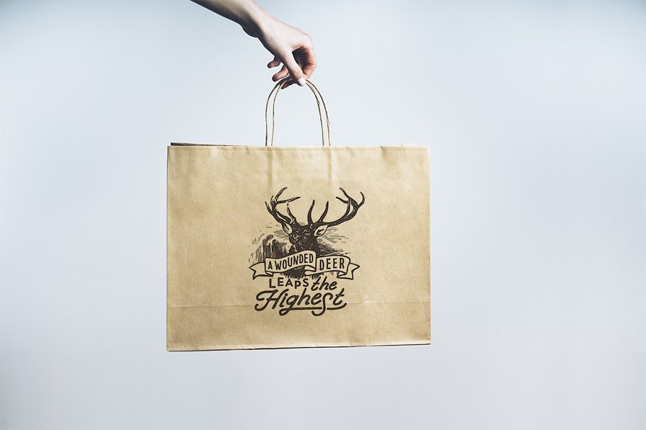 纸质购物袋样机模板 Shopping bag set插图(3)