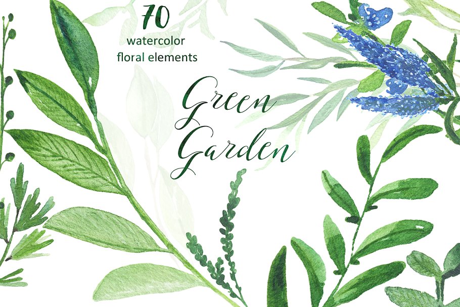 绿色花园水彩素材集 Green garden. Watercolor collection插图