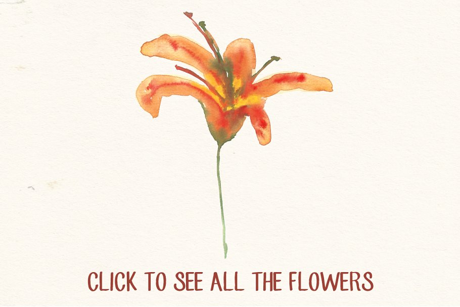 水彩花卉和树叶剪贴画 Watercolor Flowers and Leaves Pack插图(3)