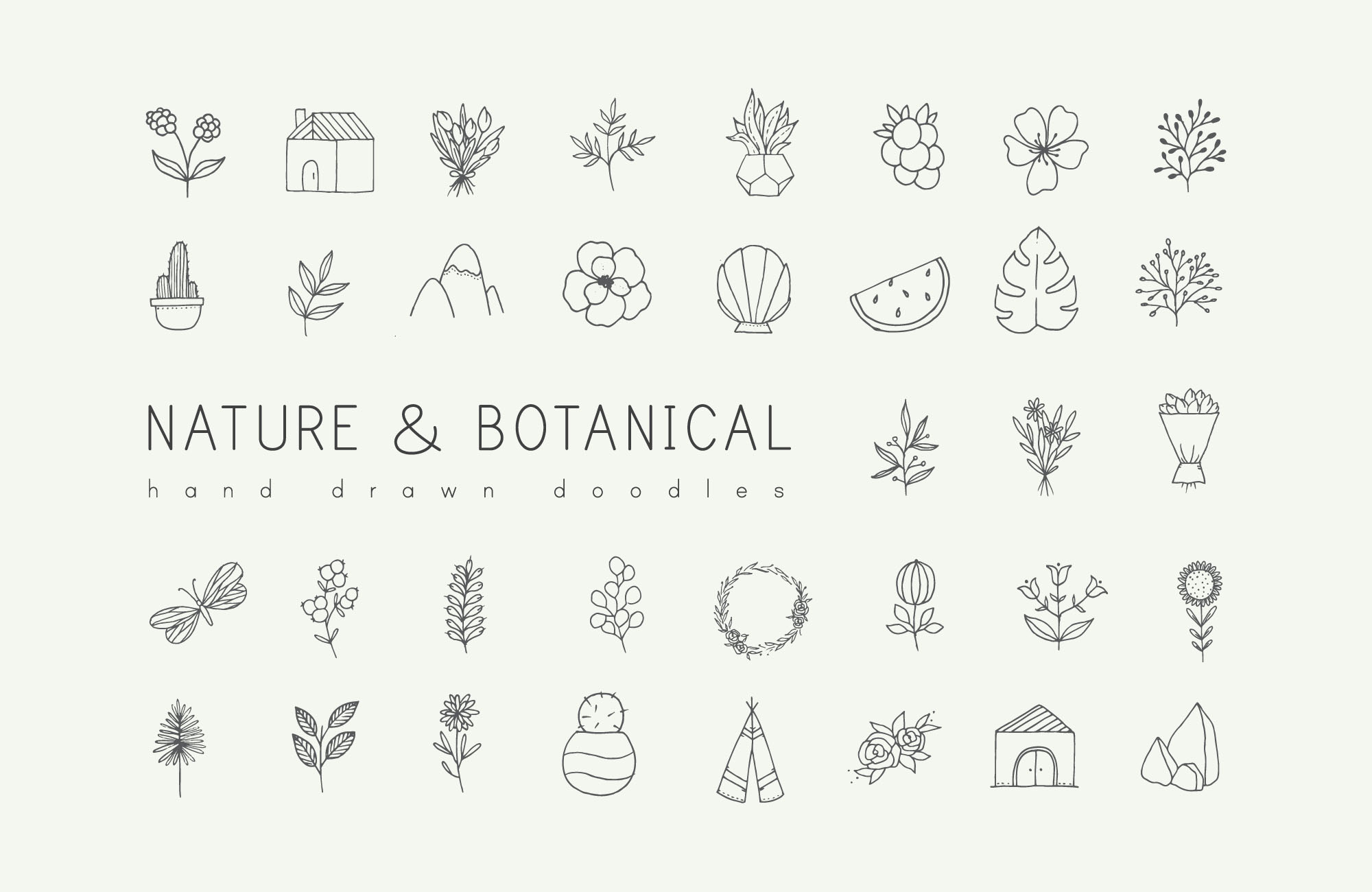 自然与植物手绘涂鸦矢量图形设计素材 Nature and Botanical Hand Drawn Doodles插图