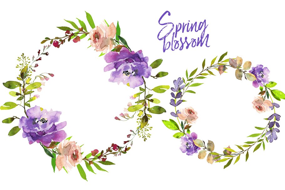 春季花开水彩花卉插画 Spring Blossom Watercolor Flowers插图(3)