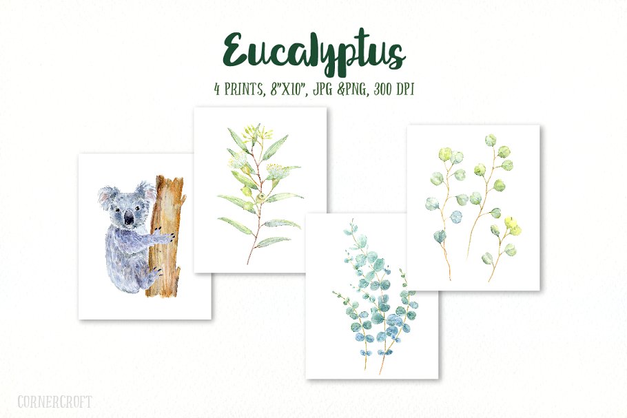 桉树与考拉水彩剪贴画 Watercolor Eucalyptus Koala Clip Art插图(3)