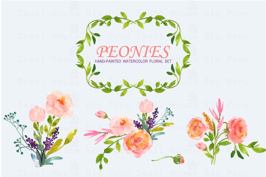 牡丹花水彩剪贴画 Peonies- Watercolor Clip Art Set插图(4)