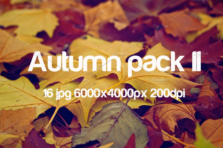 秋天主题高清照片素材包 Autumn photo pack II插图