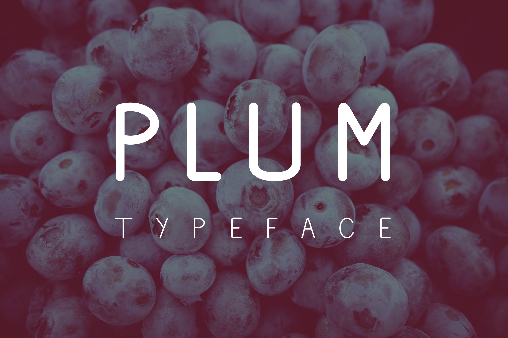正楷可爱英文手写字体 Plum Fun Typeface插图