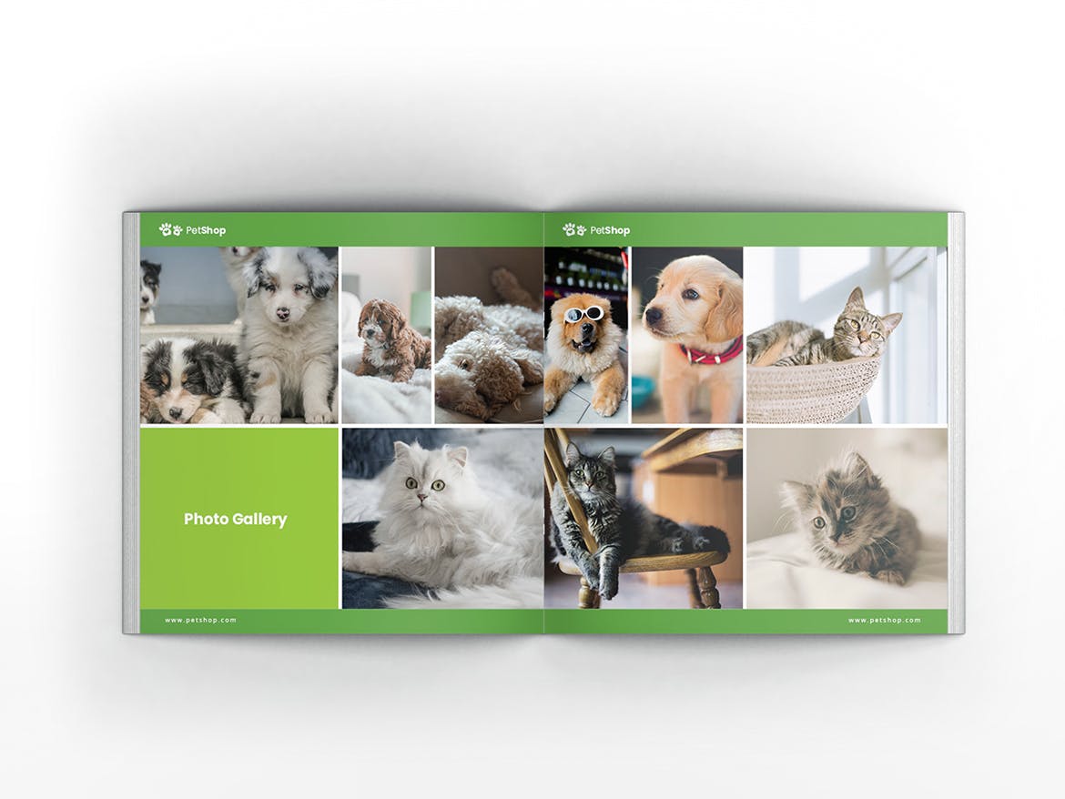 宠物店/宠物医院方形宣传册设计模板 Pet Shop Square Brochure Template插图(10)