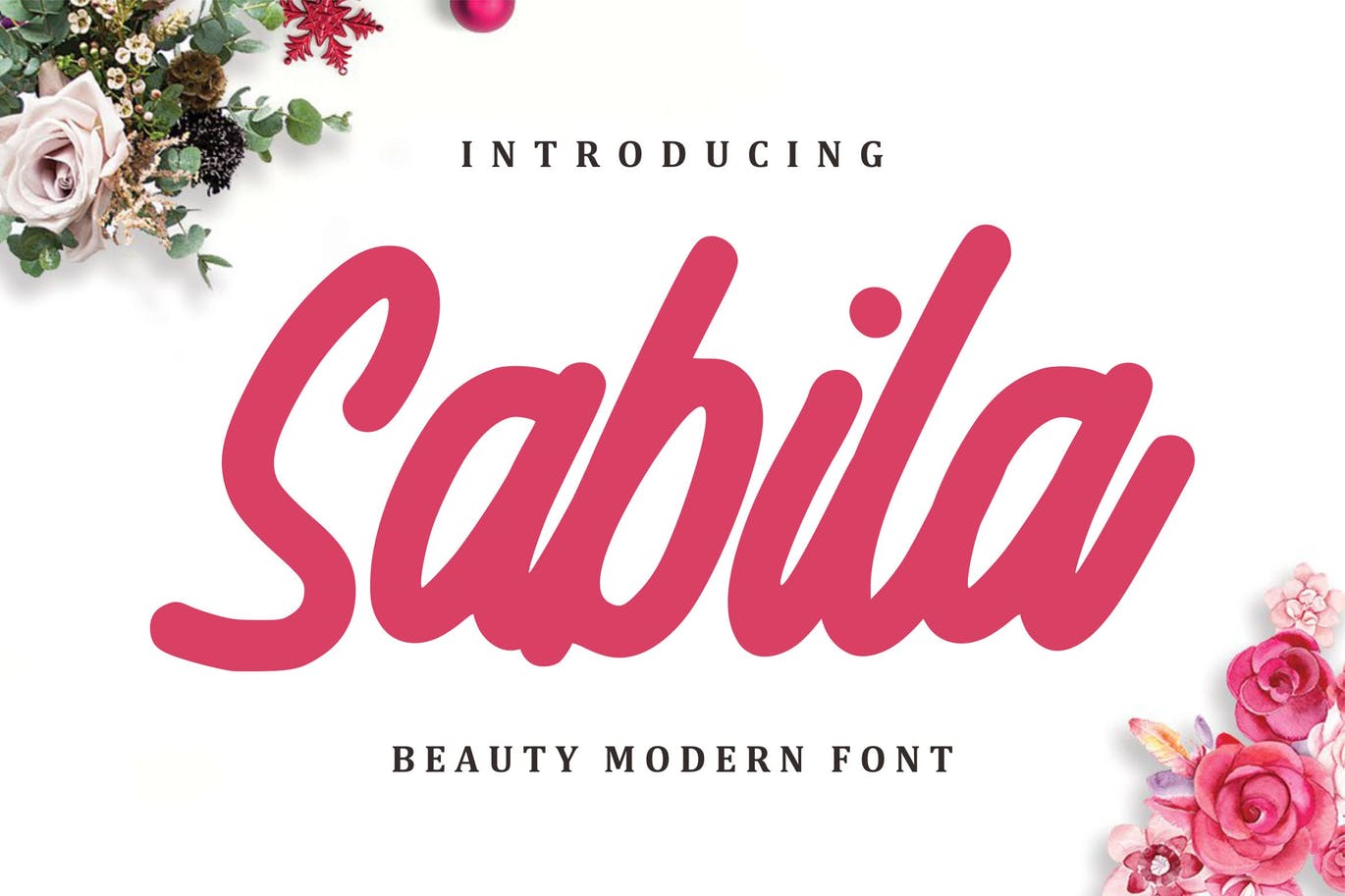 现代设计风格精美英文手写字体下载 Sabila – Beauty Modern Font插图