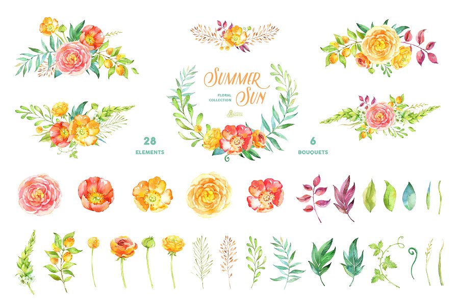 夏日太阳色水彩花卉插画 Summer Sun. Floral Collection插图(1)