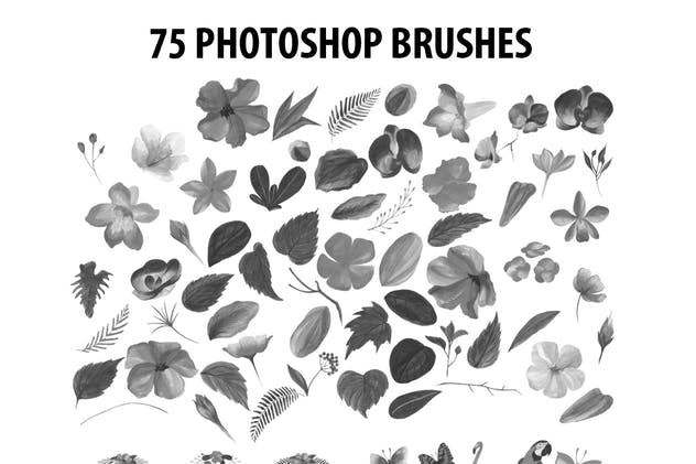 75款水彩手绘数码绘画PS笔刷合集 75 Photoshop Brushes Watercolor Collection插图(1)