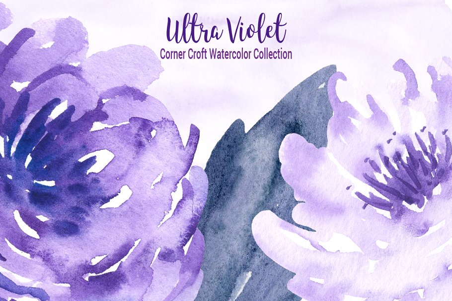 水彩紫罗兰花卉插画合集 Watercolor Ultra Violet Collection插图(9)