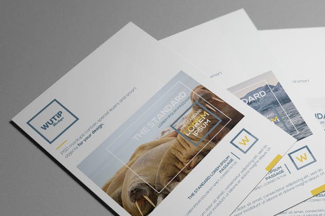 双折页A4规格企业品牌宣传册样机 Bi-Fold A4 Brochure Mockups插图(15)