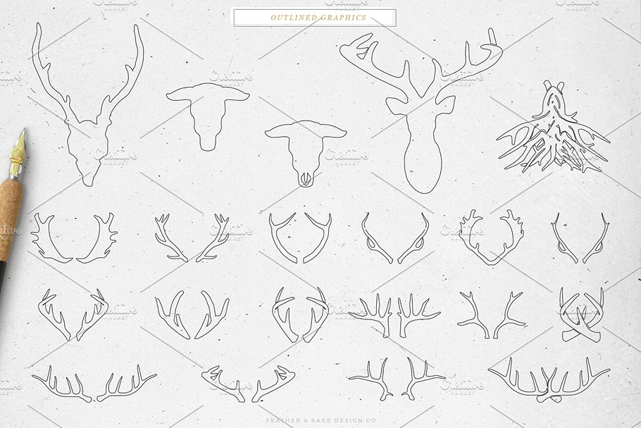 鹿角＆公牛手绘矢量插图 Antlers & a Bull Vector Graphics插图(5)