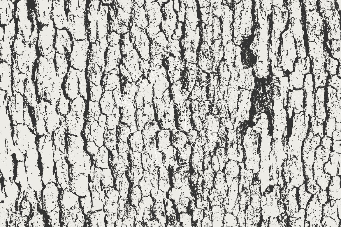 5款逼真树皮纹理肌理矢量背景素材 Tree Bark Textures插图(4)