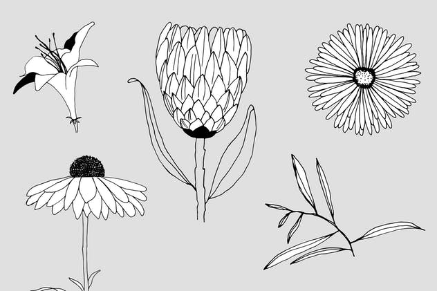 创意手绘花卉插画图案纹理素材 Graphic Flowers Patterns & Elements插图(11)